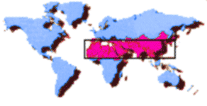 A 10/40 Window map graphic from the AD2000 web site